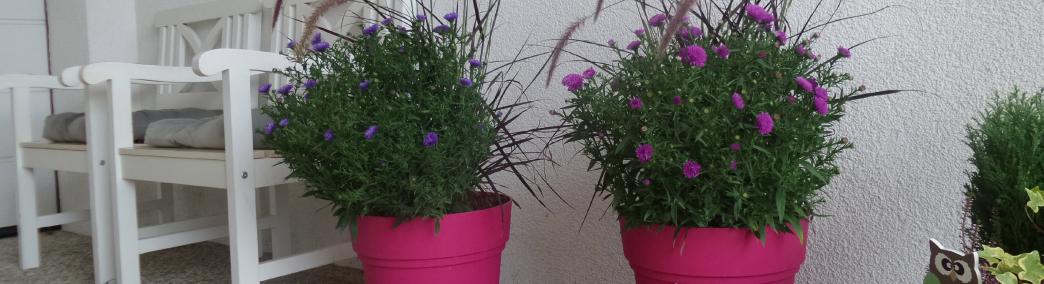 Unser Raucherbereich Unser Raucherbereich